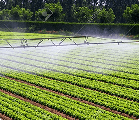 irrigation